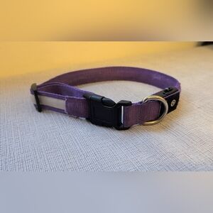 PcEoTllar LED Dog Collar Rechargeable Light Up Dog - Size Large